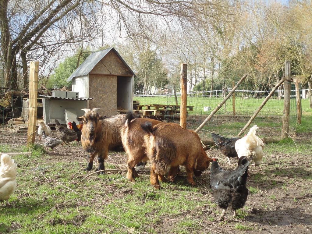 Les 2 Madeleine Bed & Breakfast Saint-Saturnin-du-Bois Ngoại thất bức ảnh